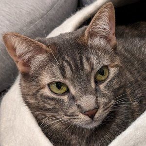 Meet your Posher, Ruth